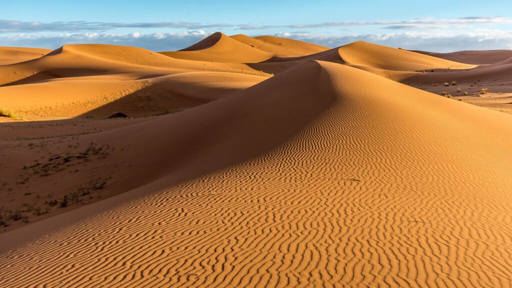 medanos